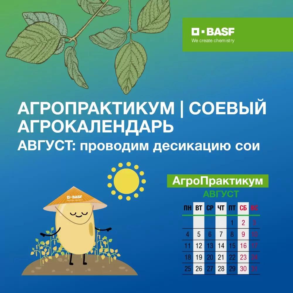 Соевый агрокалендарь: август