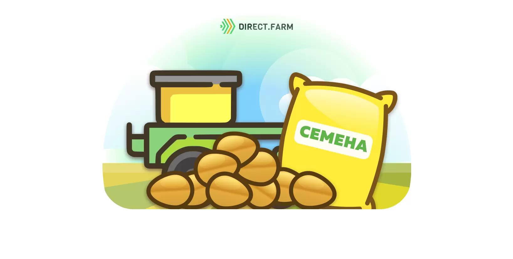 Норма высева озимой пшеницы в зависимости от типа кущения сорта