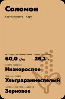 Соломон сорго зерновое