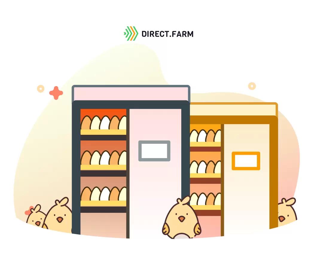 Как выбрать инкубатор?