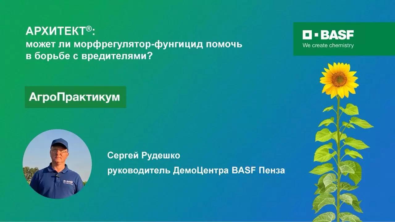 Может ли морфрегулятор-фунгицид помочь в борьбе с вредителями?