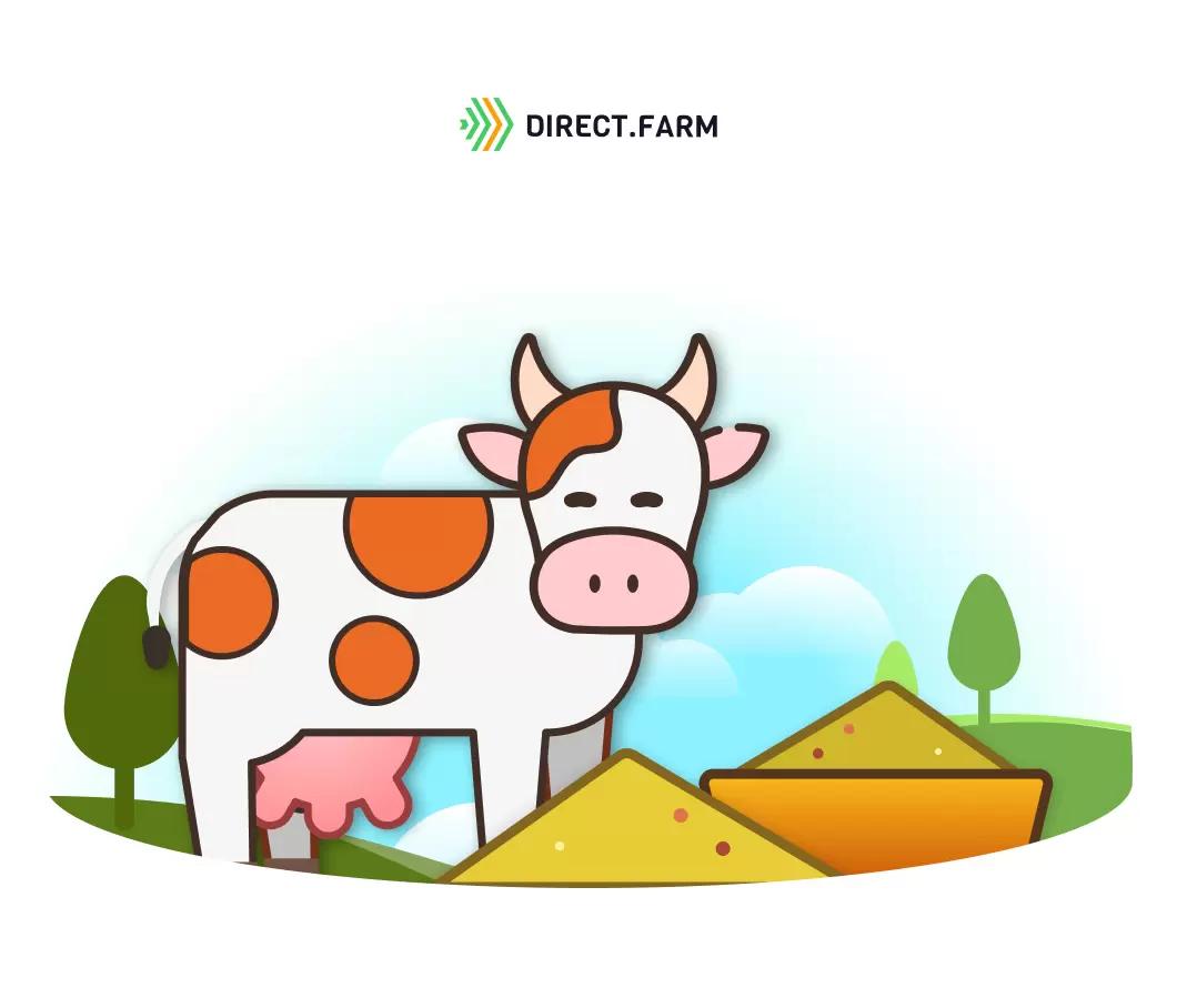 Спиртовая барда в кормлении коров