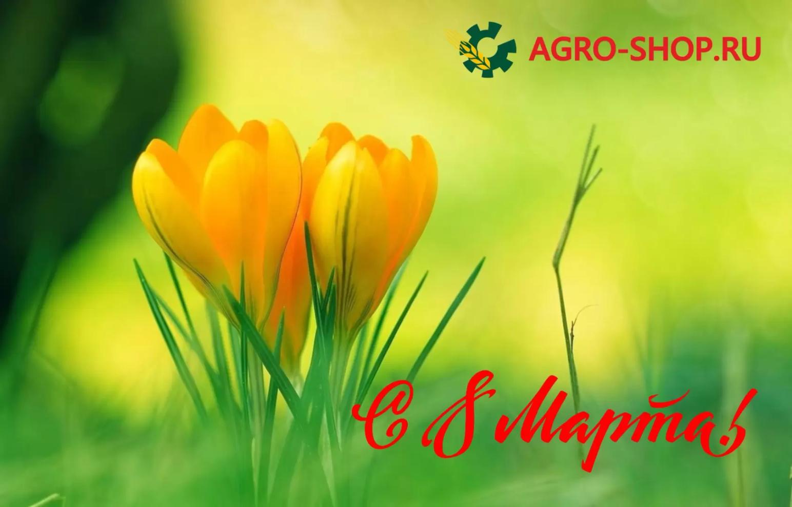 Дорогие женщины, с 8 Марта! 💐