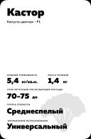 Кастор F1 (KASTOR)