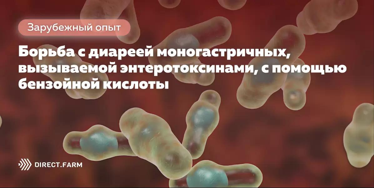 Борьба с диареей, вызываемой энтеротоксинами, с помощью бензойной кислоты