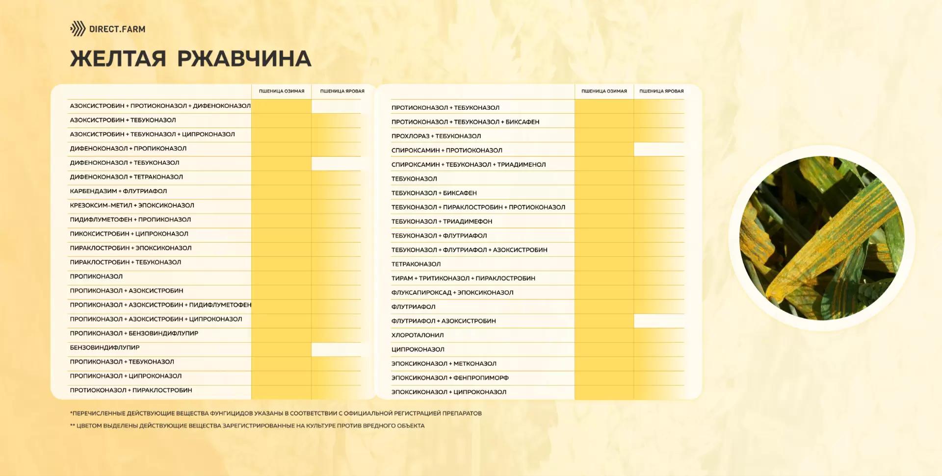 Шпаргалка д.в. против желтой ржавчины