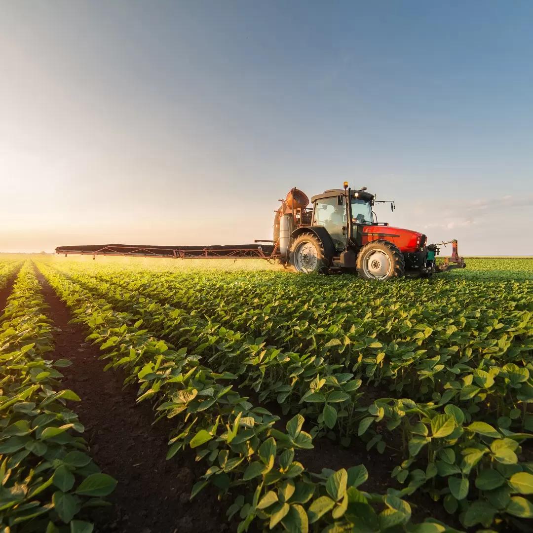 Фунгициды на сое