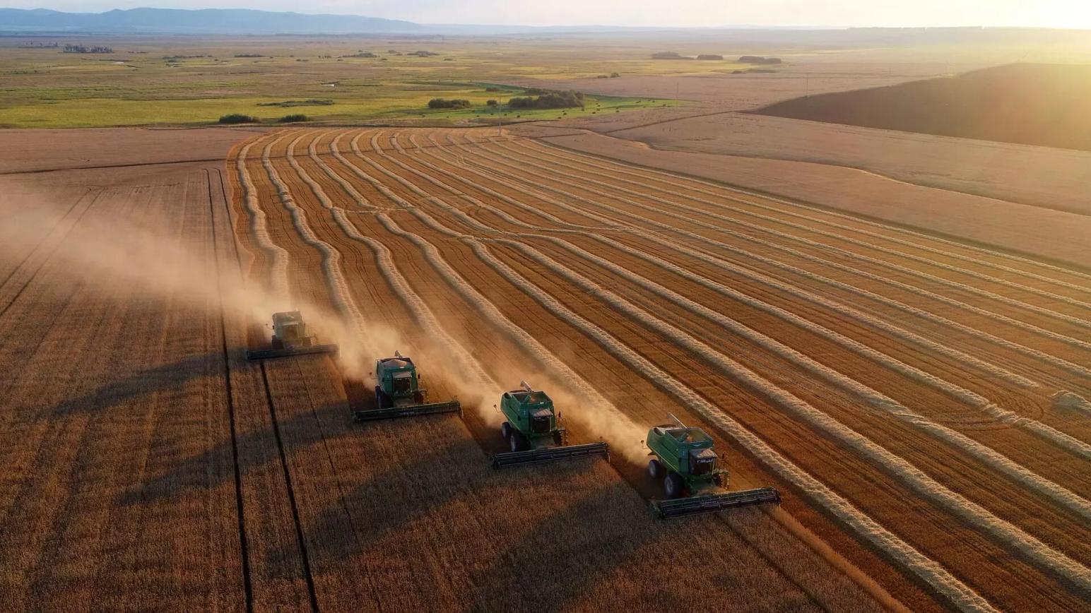 Продажи российской пшеницы сократились до многомесячного минимума