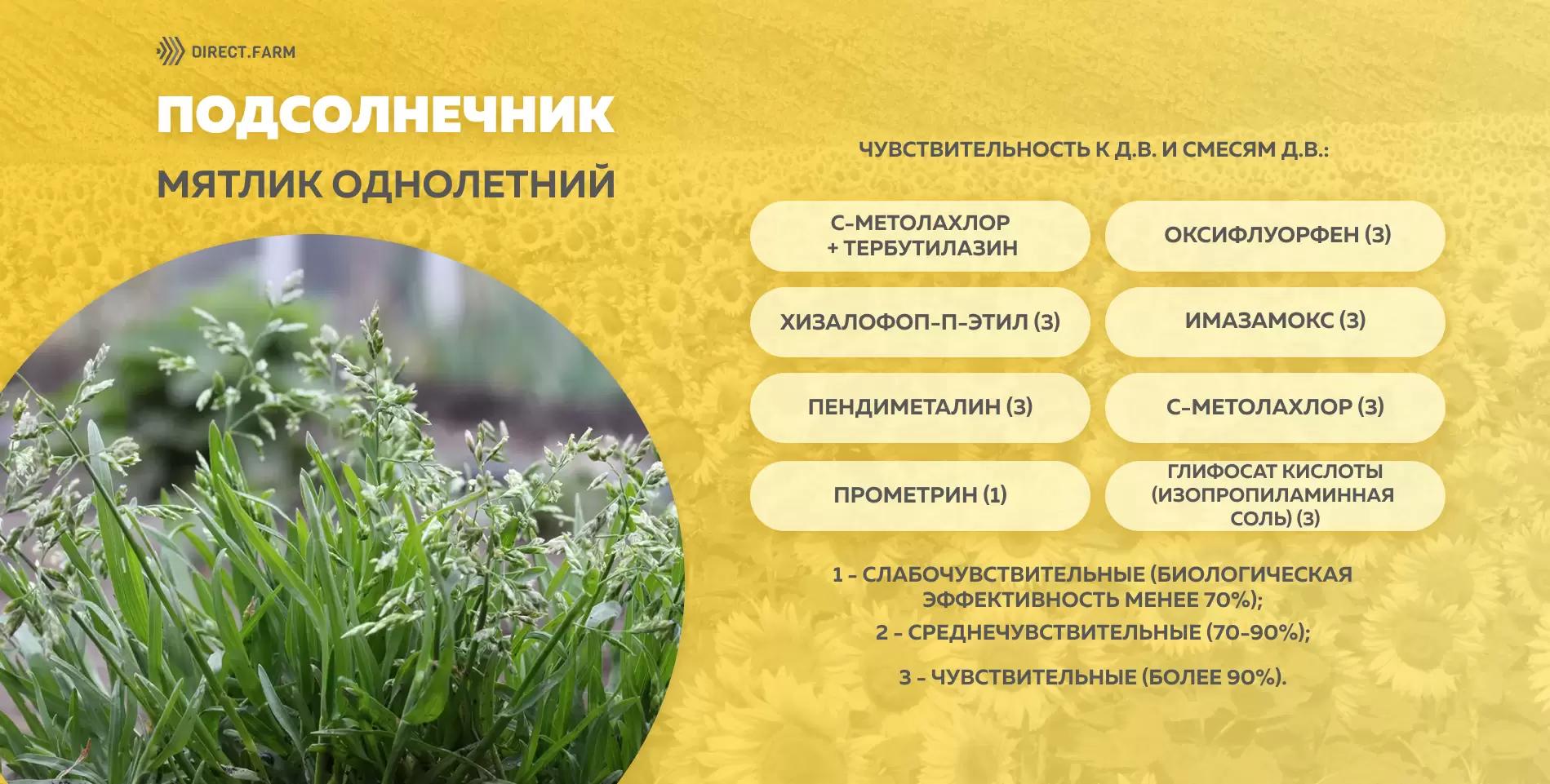 Шпаргалка чувствительности мятлика однолетнего к д.в. гербицидов