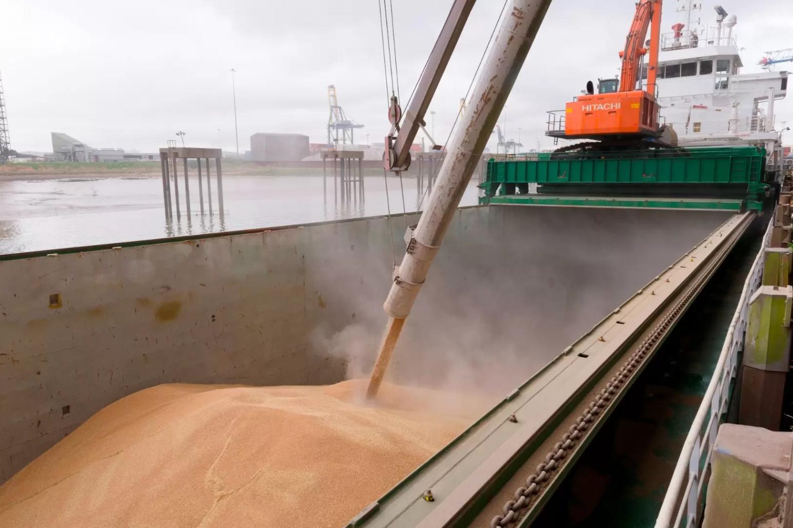 Отгрузки пшеницы на экспорт из РФ с 1 по 23 октября выросли на 57%