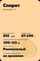 Спирит F1 (SPIRIT)