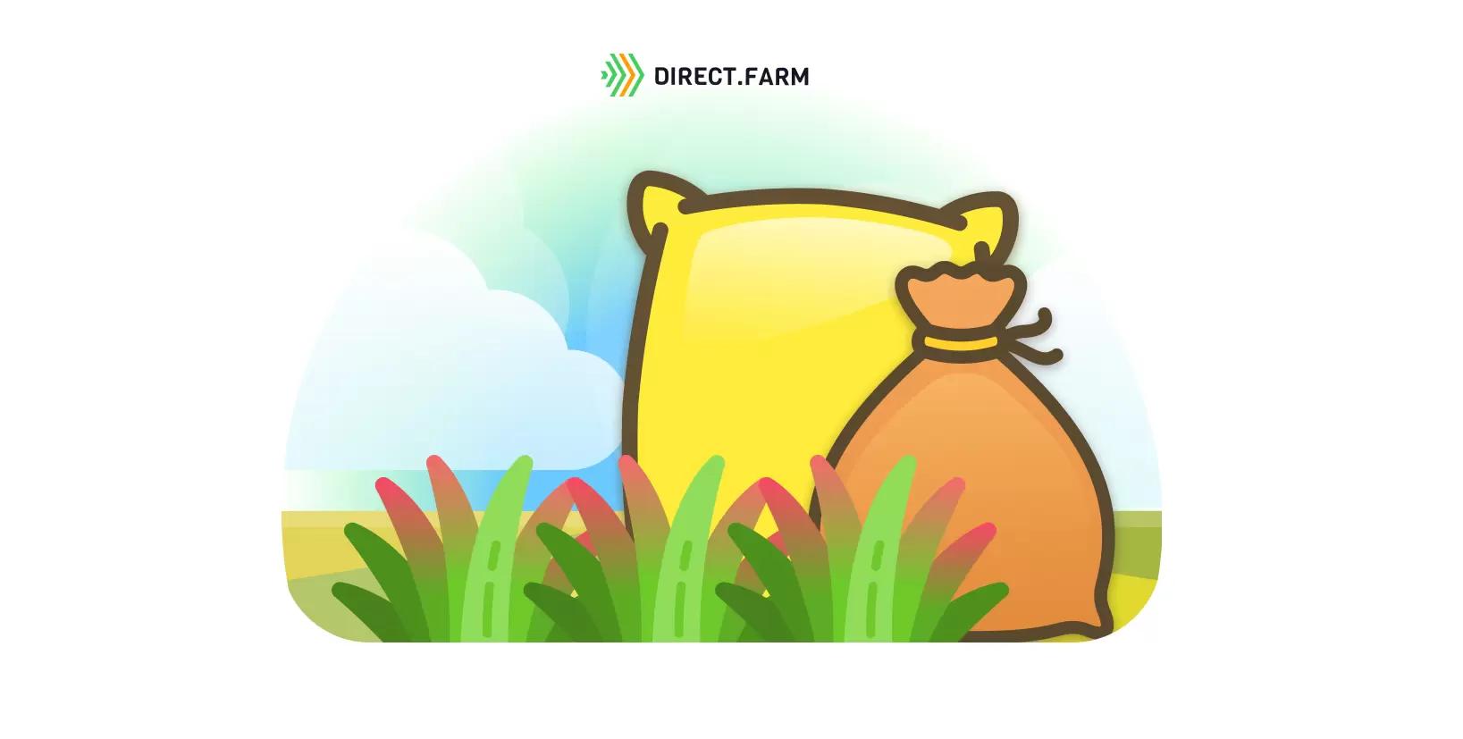 Симптом – красные листья озимой пшеницы