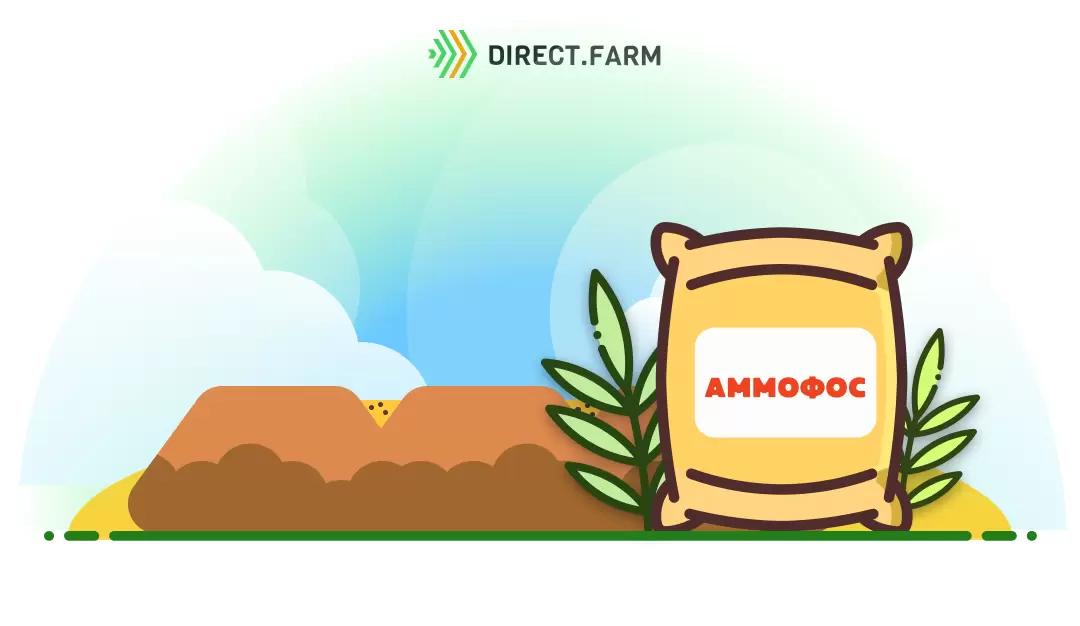 аммофос при посеве