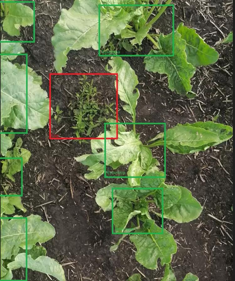 Локальное внесение гербицидов. экономия до 70%. Уже работает в США.