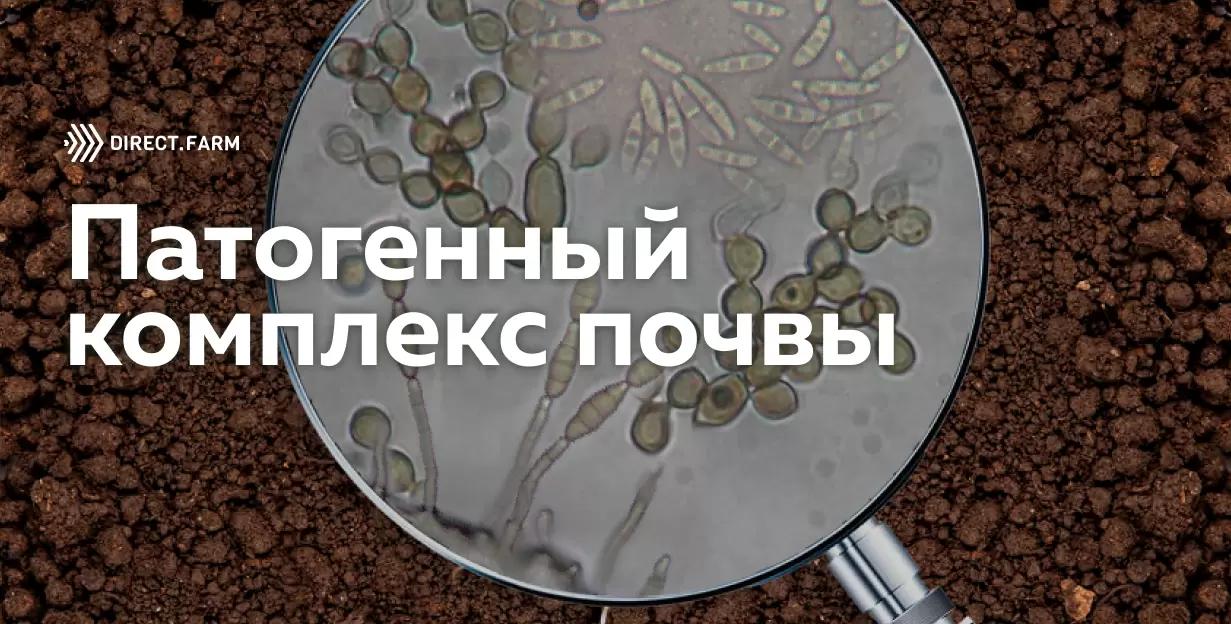 Формирование патогенного комплекса в почве