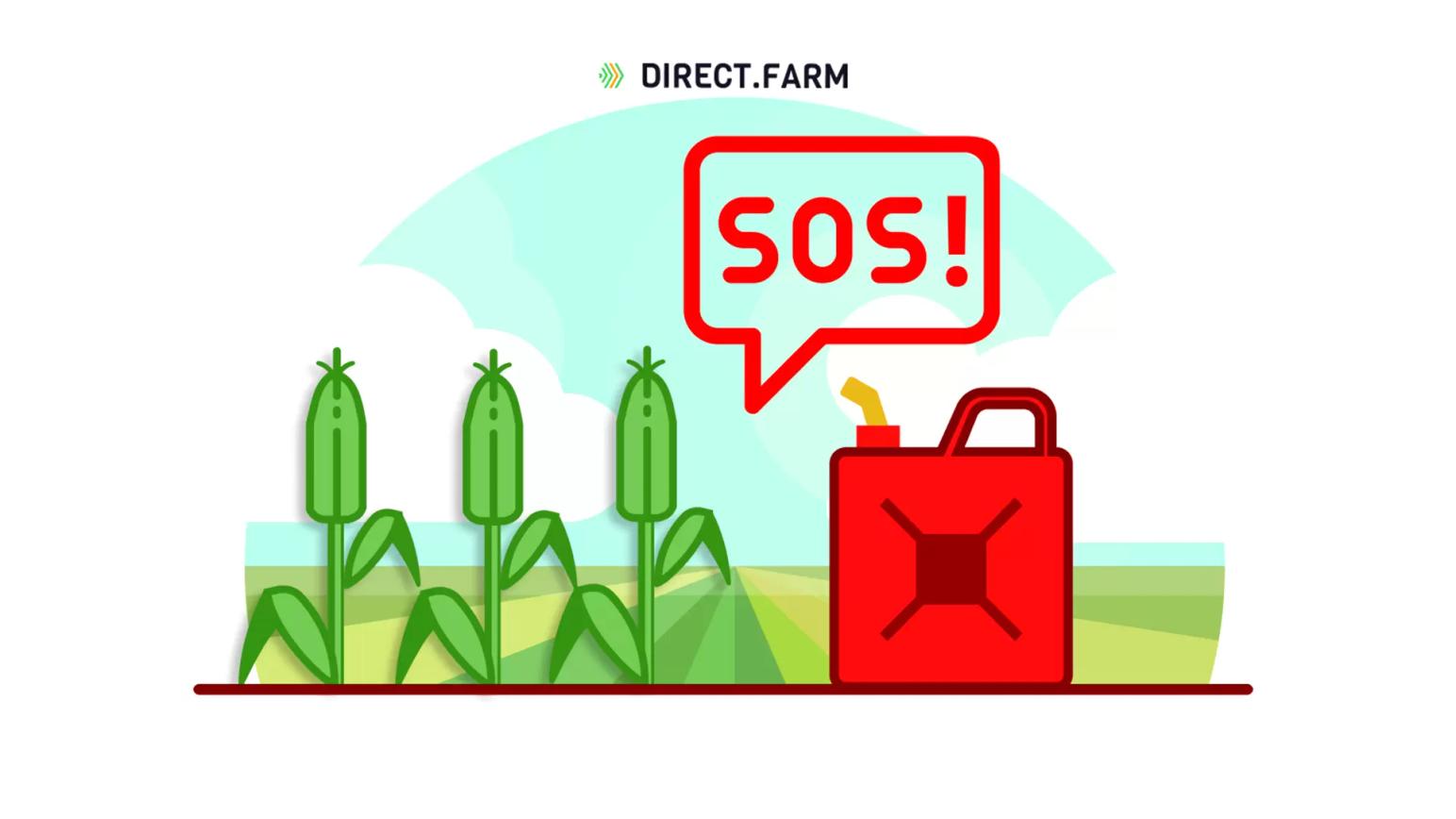 Передозировка гербицида на кукурузе