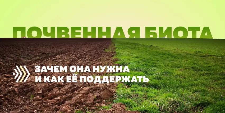 Почему нужно заботиться о микроорганизмах в почве и как это сделать?