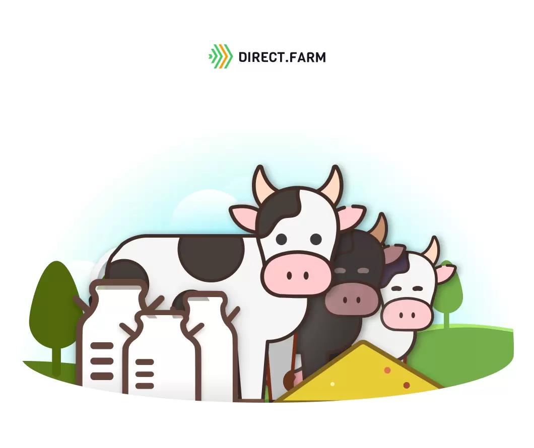 Как кормить высокопродуктивных новотельных коров?