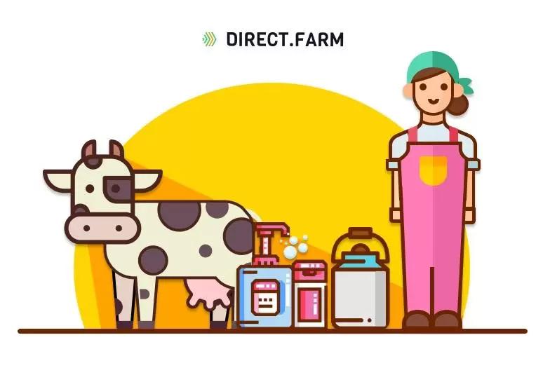 Чем и как обрабатывать вымя до и после доения?