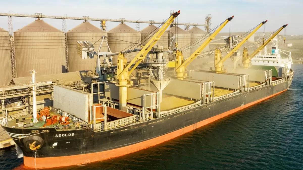 Первые суда прибыли в речные порты Украины для загрузки зерном
