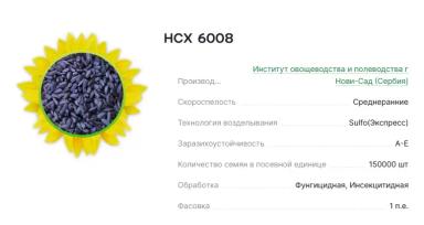 Семена подсолнечника гибрид нсх 6008 (Экспресс)