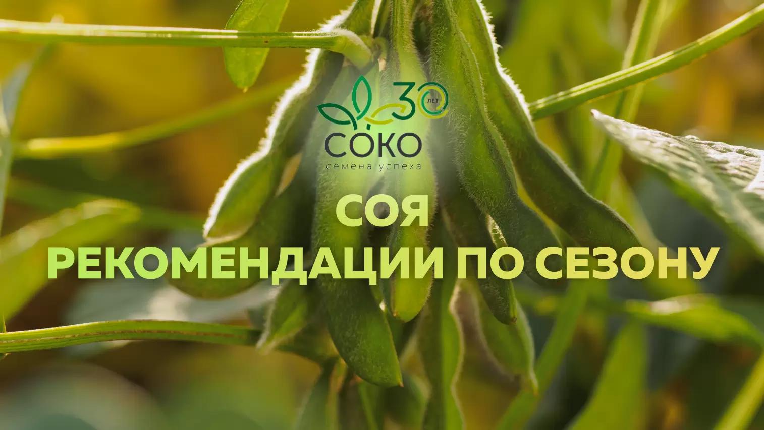Соя. Рекомендации по сезону 🌿
