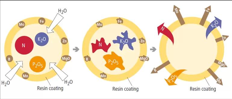 Пролонгированные удобрения в условиях ограниченного импорта