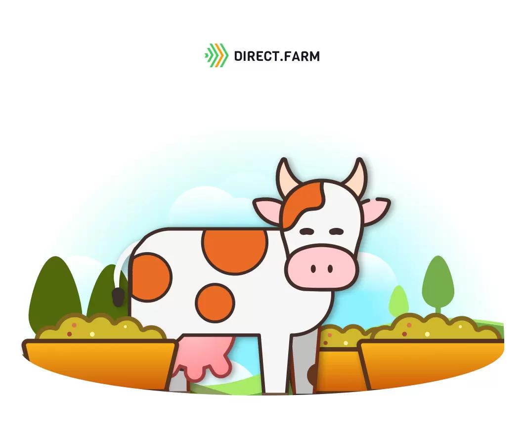 Альтернатива соевому шроту/жмыху в рационах коров