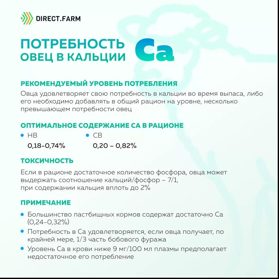Потребность овец в кальции