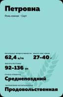 Петровна рожь озимая