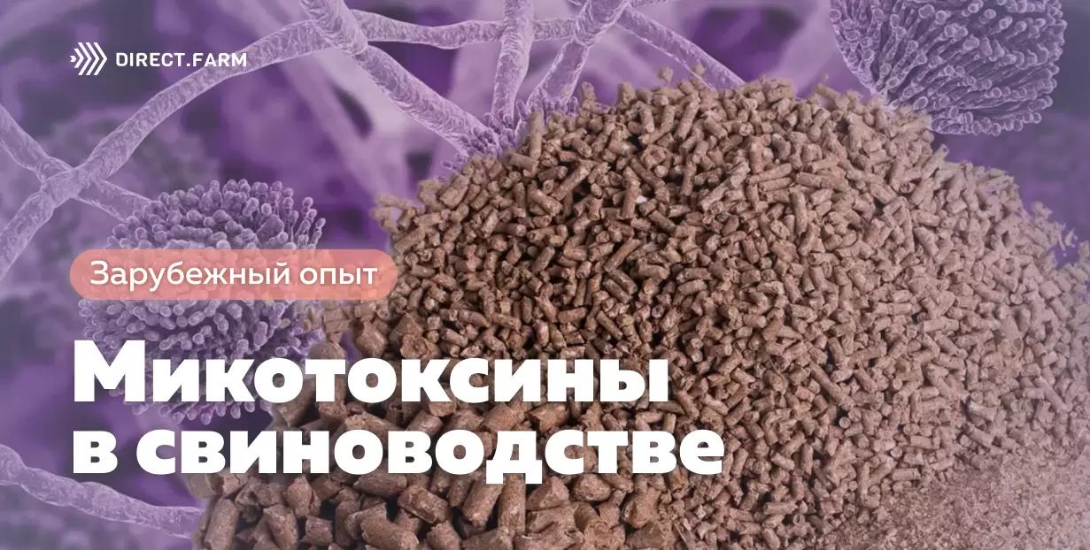 Микотоксины в свиноводстве