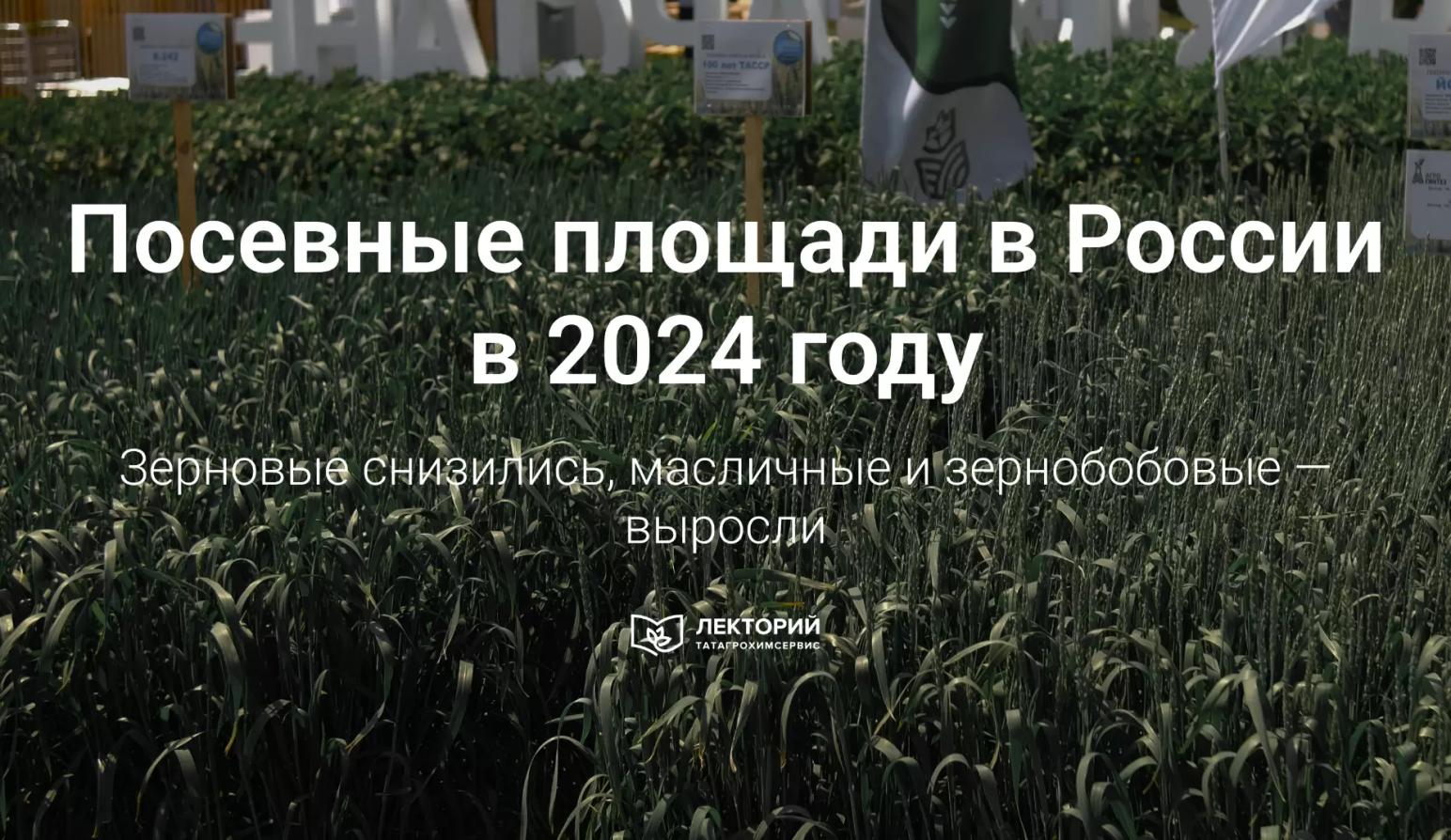 🗺️ Посевные площади в России сократились на 1,2%: данные Росстата