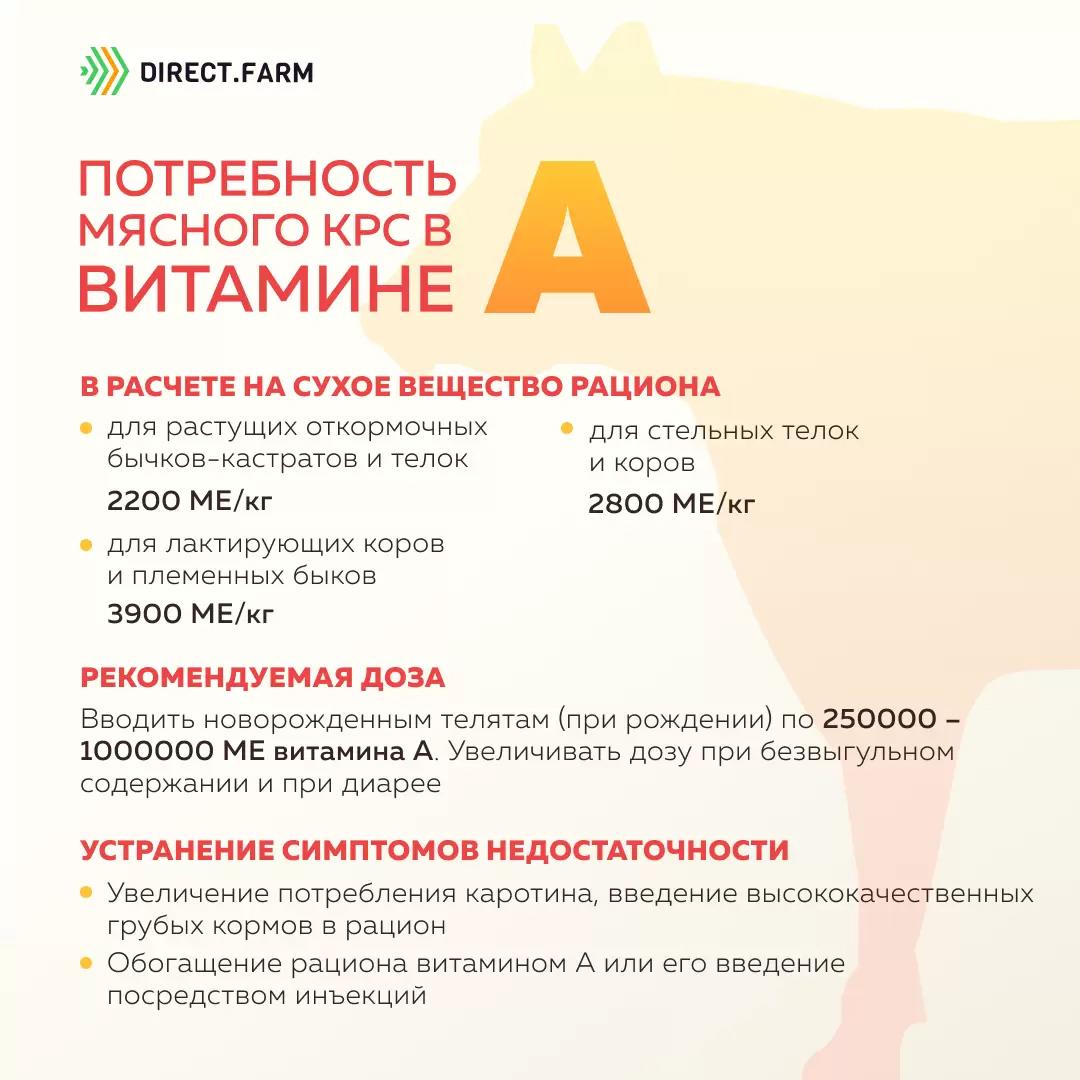 Потребность мясного скота в витамине А