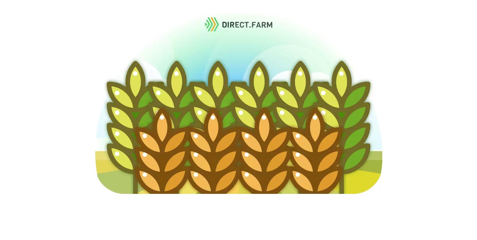 Зачем нужна сортосмена в хозяйстве?