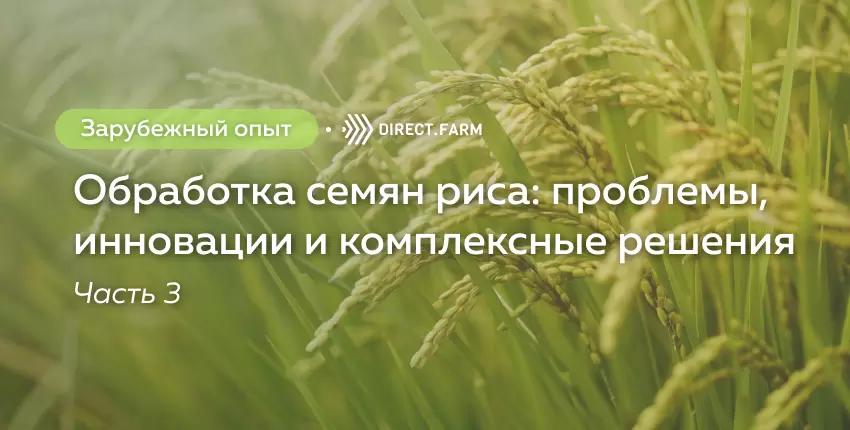 Мнение экспертов по обработке семян риса. Часть 3