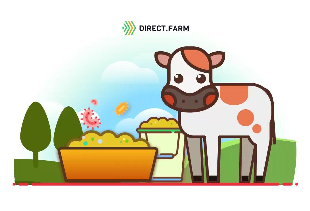 Профилактика микоплазмоза