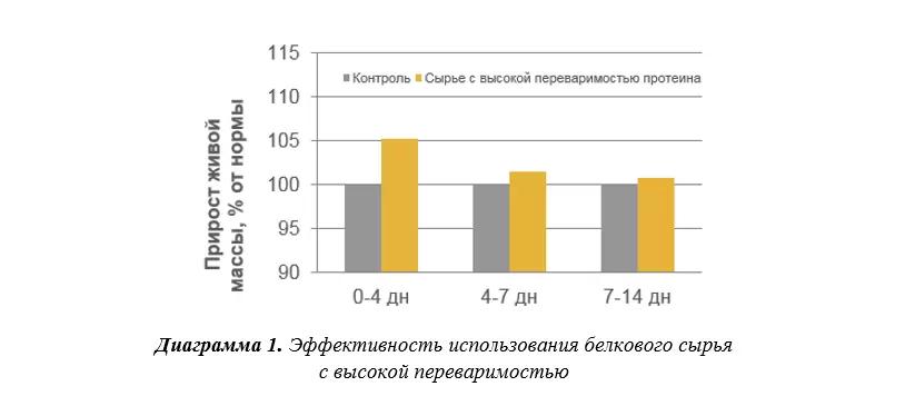 Кормление птицы без использования антибиотиков