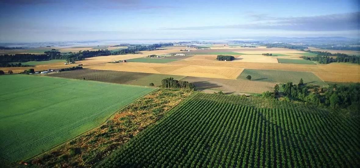 Госдума ускорила процедуру ввода в оборот изымаемых сельхозземель