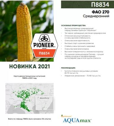 П 8834- гибрид кукурузы Пионер