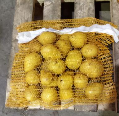 Картофель продовольственный оптом от 3000кг от производителя