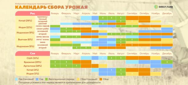 Календарь сбора урожая самых популярных культур: данные АМИС