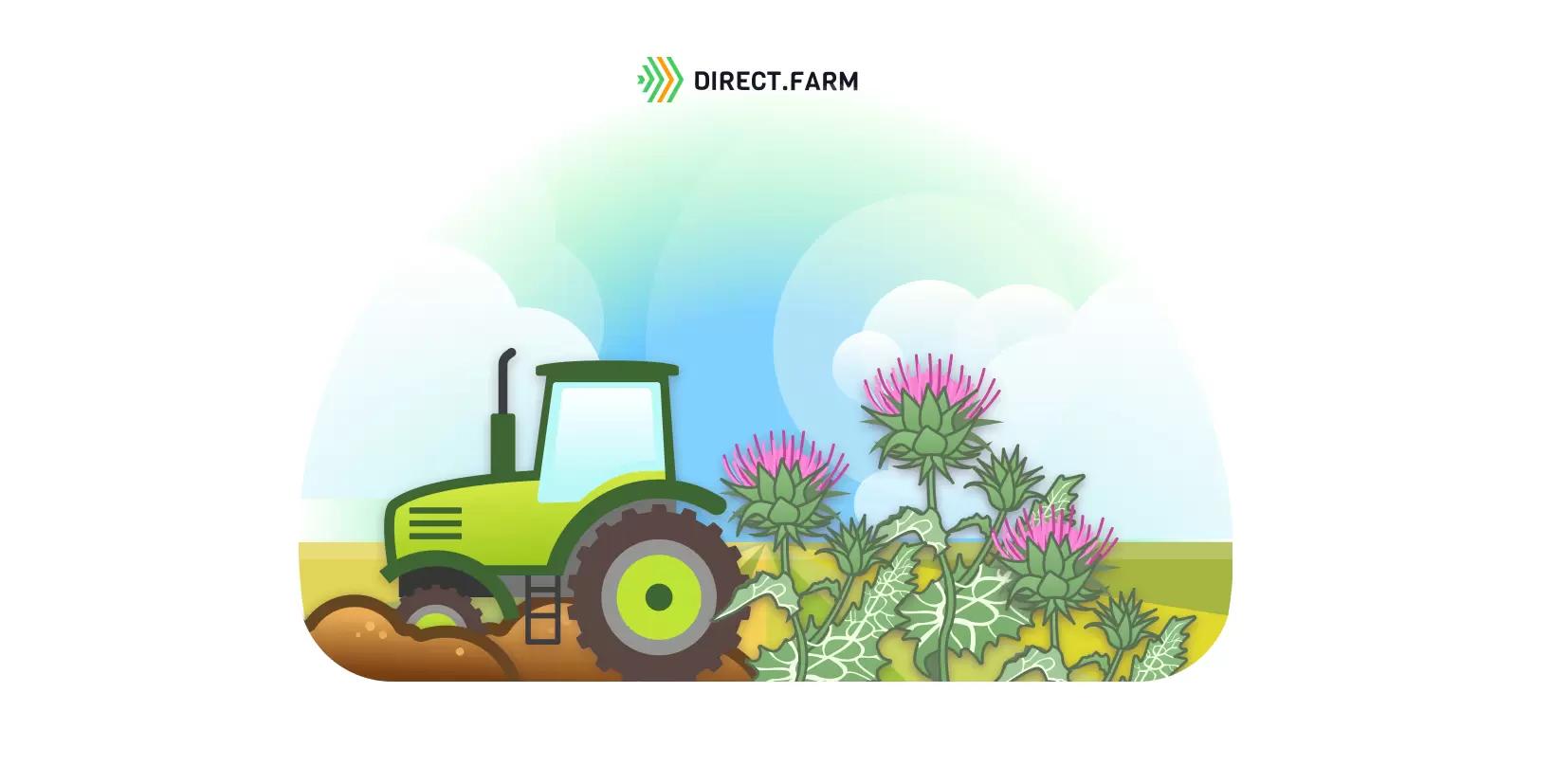 Обработка почвы под посев расторопши