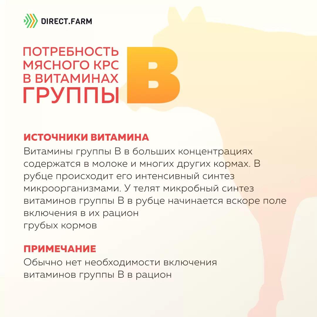 Потребность мясного скота в витаминах группы В