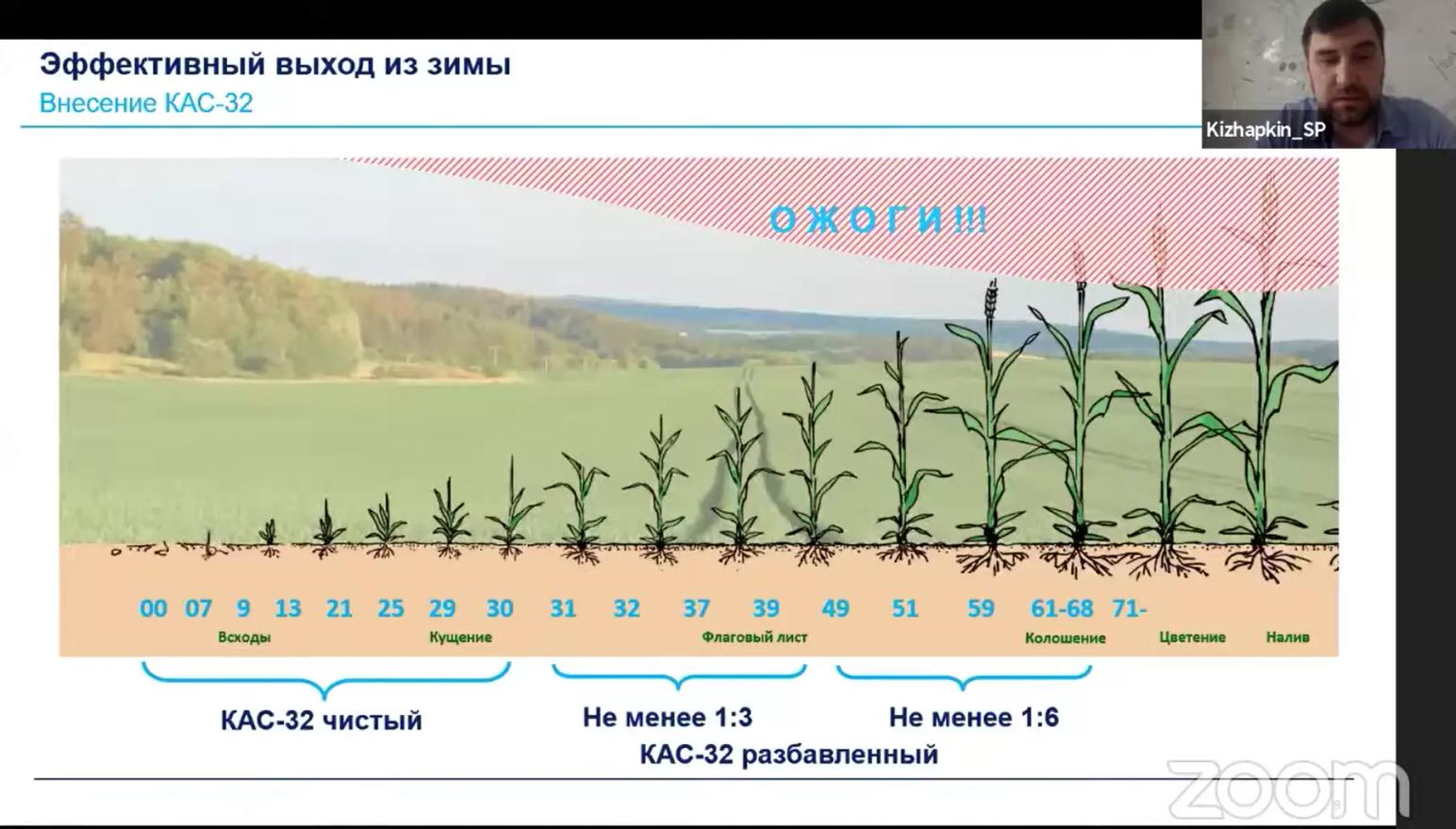 Азотное питание и листовые подкормки