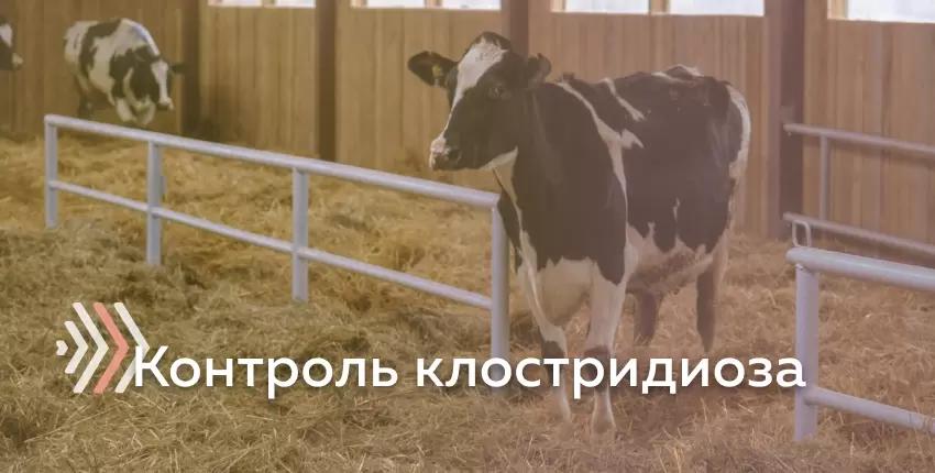 Контроль клостридиоза на молочных предприятиях