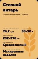 Степной янтарь сорт твердой озимой пшеницы