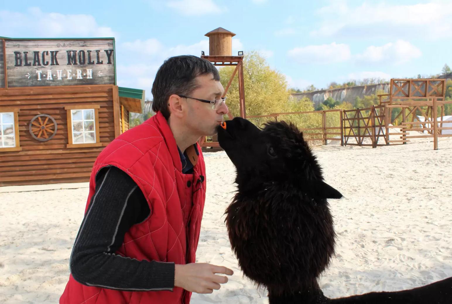 АЛЬПАКА ВЗГЛЯДОМ ВЕТЕРИНАРА