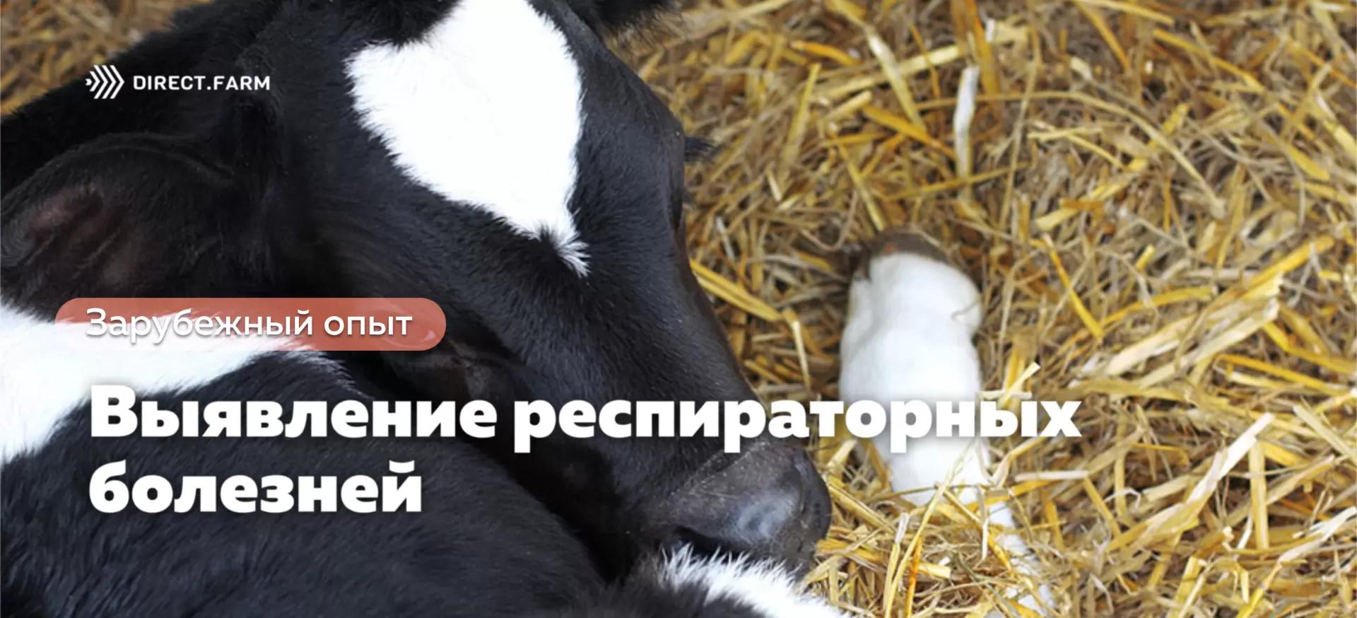 Точные технологии: выявление респираторных заболеваний