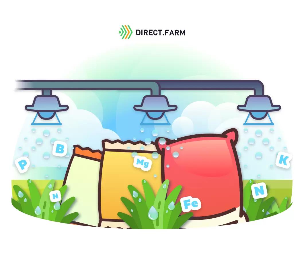 Имели ли Вы опыт с листовыми подкормками в своей практике?