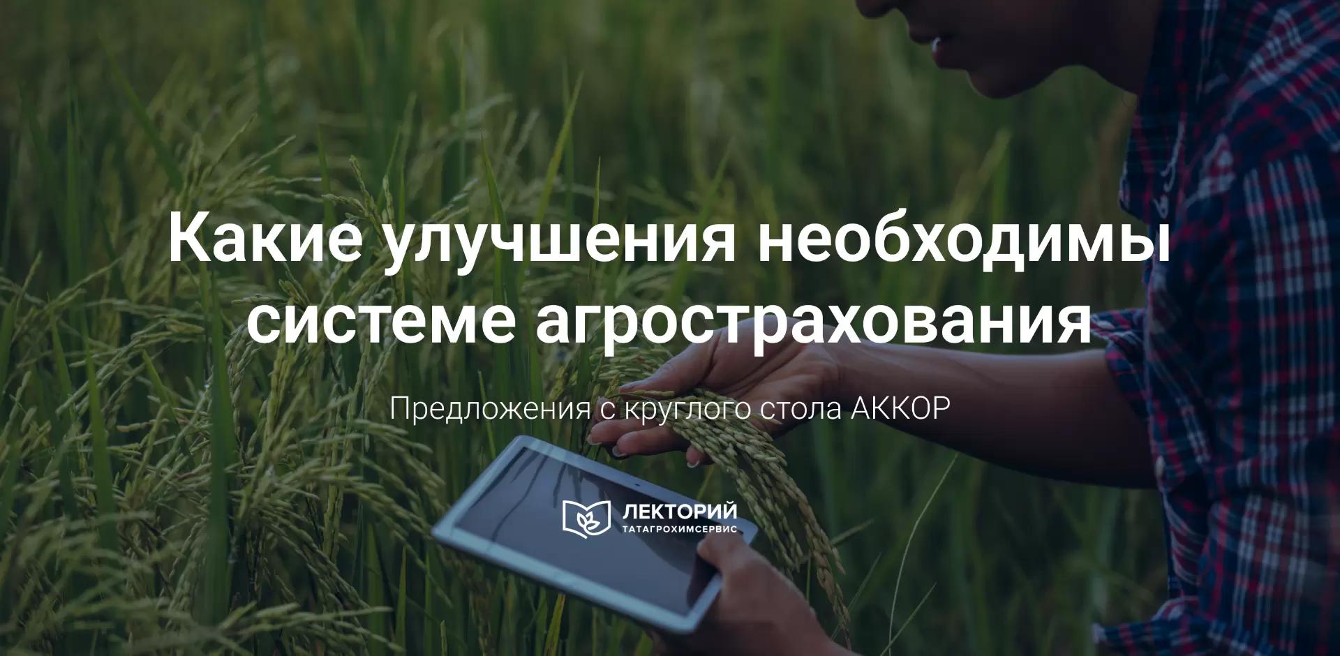 🚜 Агрострахование: успехи и вызовы 2024 года